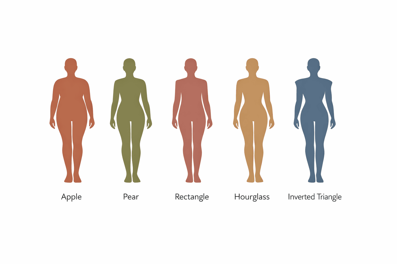 The 5 primary silhouette types: Apple, Pear, Rectangle, Hourglass, Inverted Triangle — Iconik Geometric Silhouette Profiling™