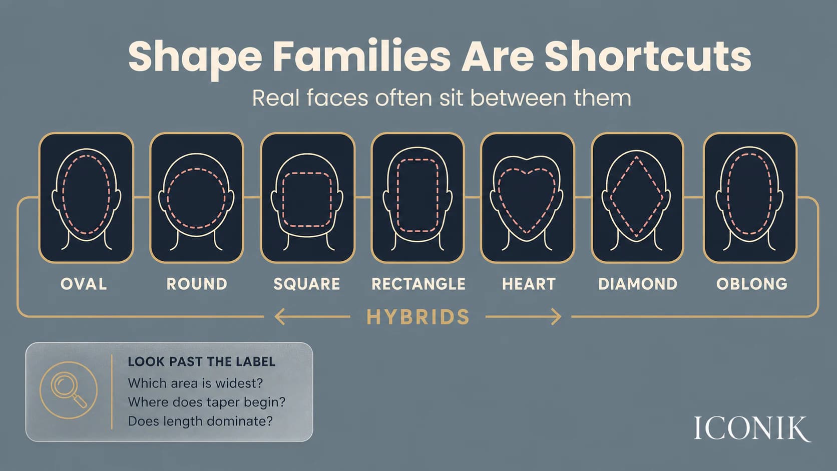 Seven simplified face-shape families arranged as a spectrum with hybrid transitions rather than isolated boxes.